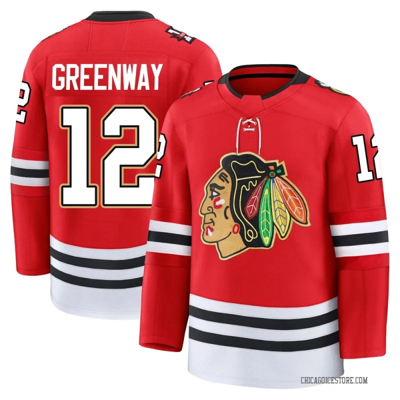 Green Men's Jordan Greenway Chicago Blackhawks Premium Red Centennial Jersey
